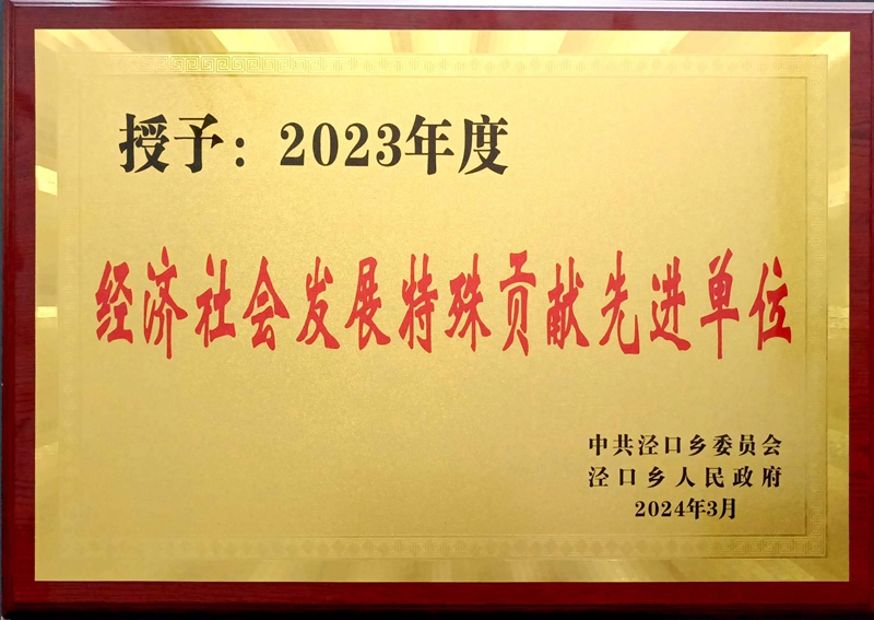 涇口鄉(xiāng)特殊貢獻先進單位